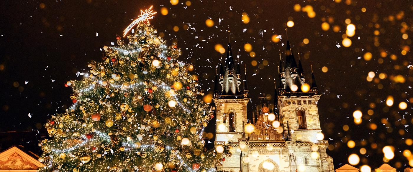 Christmas tree in Prague, Czech Republic