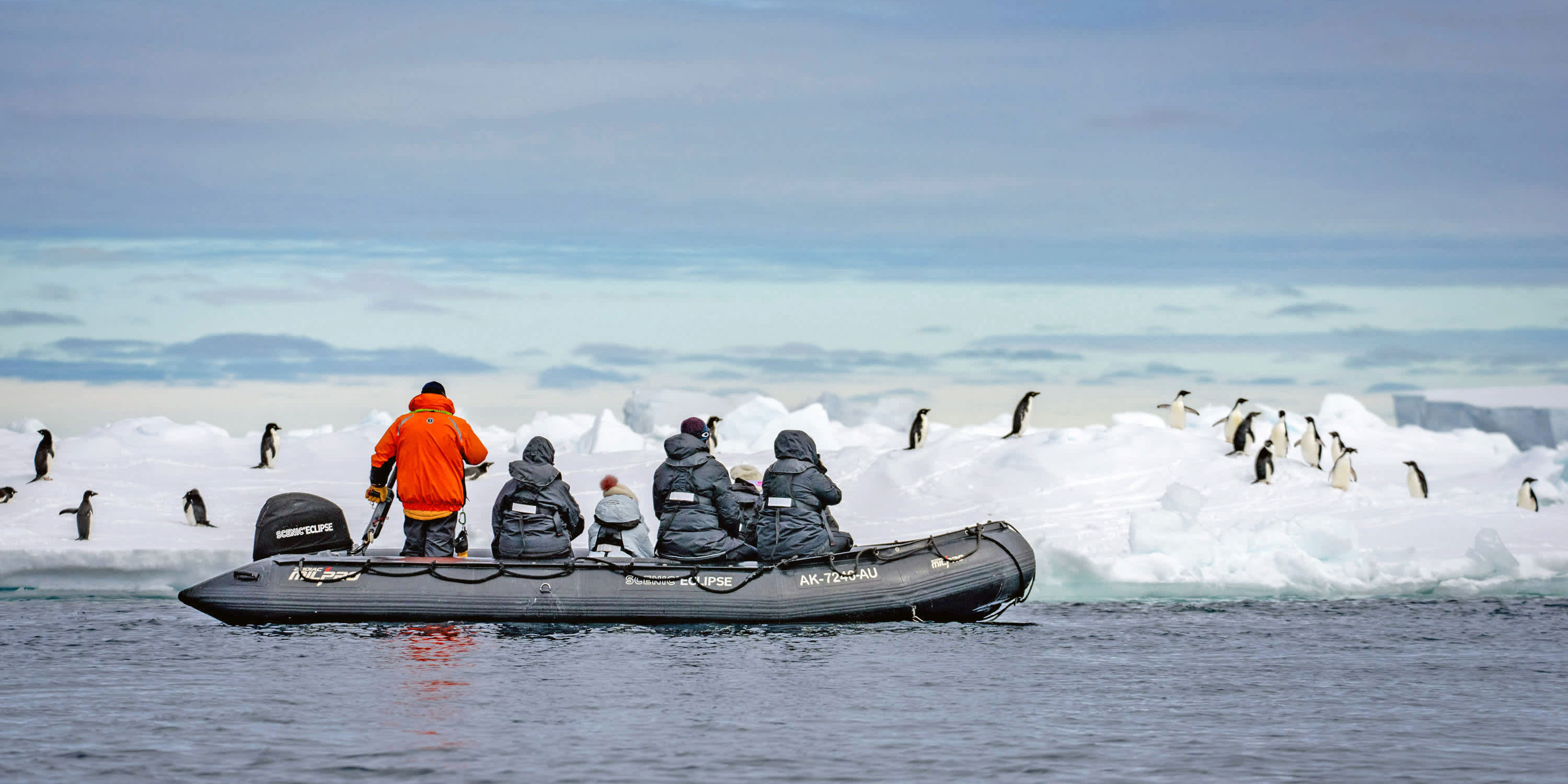 Scenic Eclipse II Zodiac excursion to Paulet Island, Antarctica
